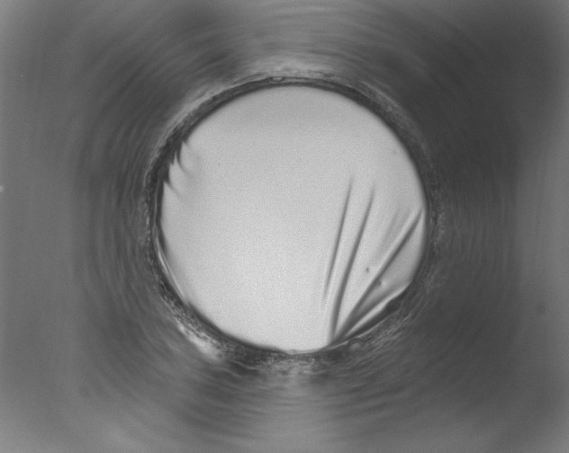 X0000076101027200610202130