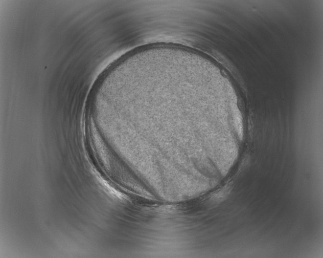 X0000076101028200610202130