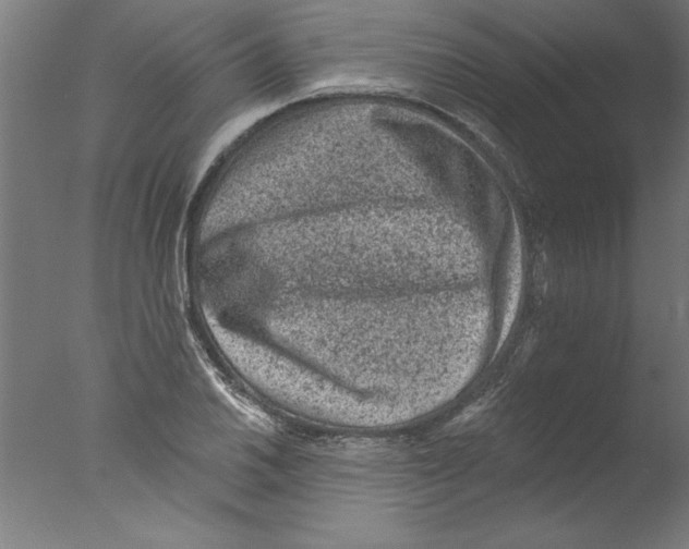 X0000076101030200610202130