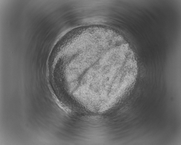 X0000076101031200610202130