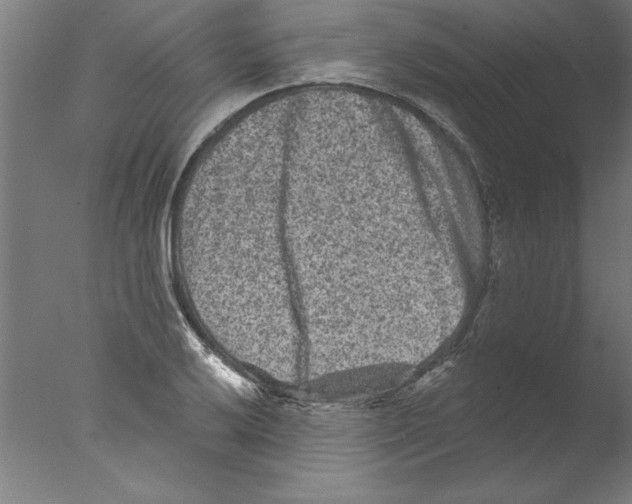 X0000076101032200610202130