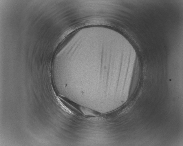 X0000076101033200610202130