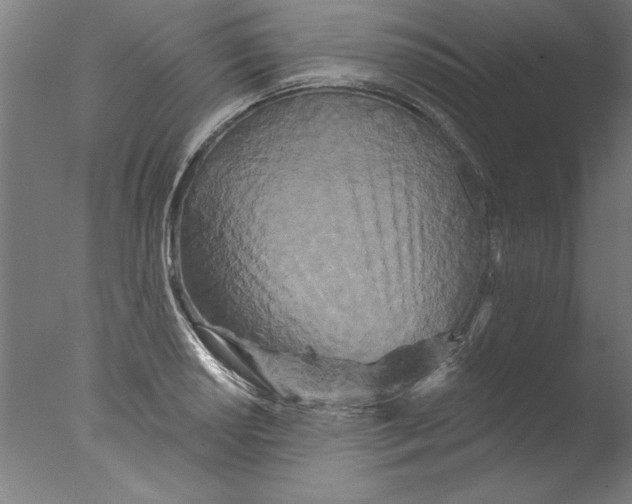 X0000076101034200610202130