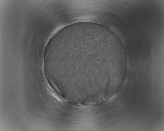 X0000076101035200610202130