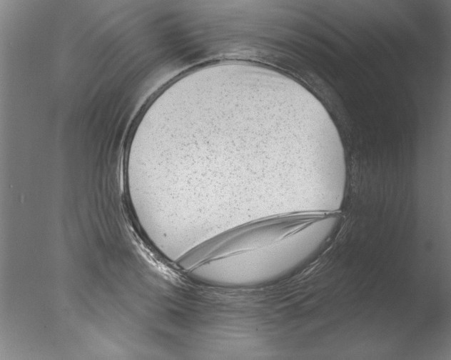 X0000076101036200610202130