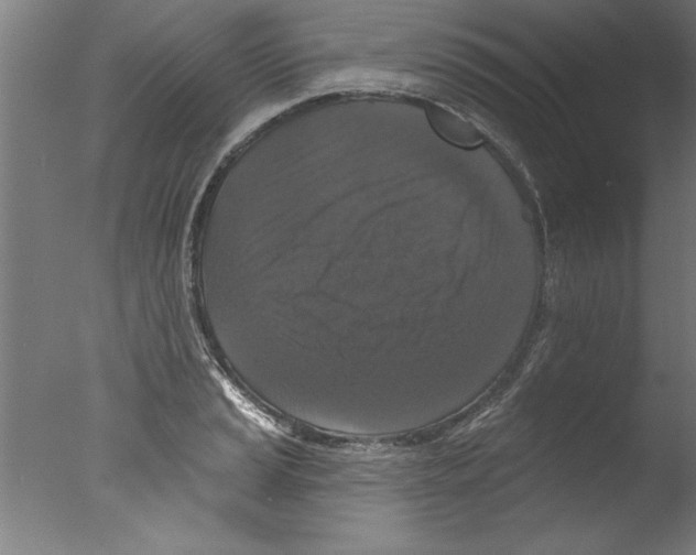 X0000076101037200610202130