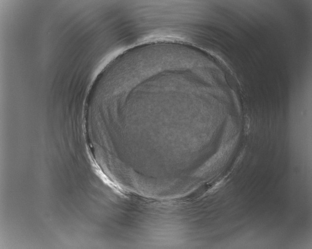 X0000076101038200610202130