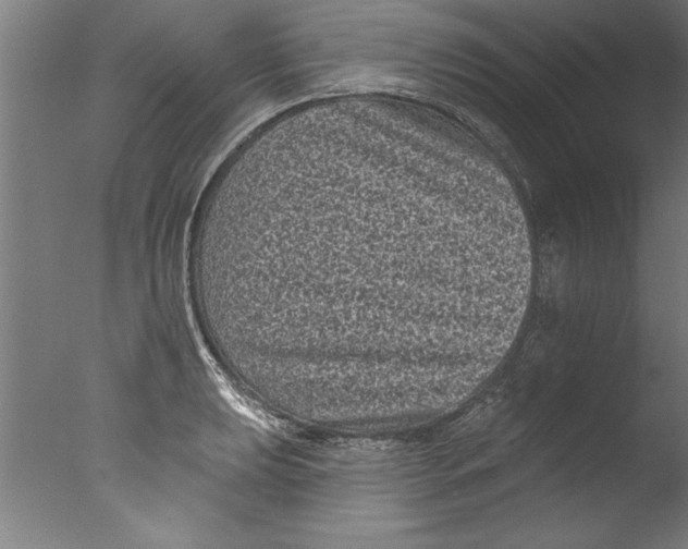 X0000076101039200610202130