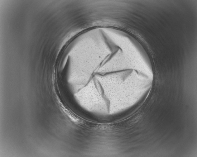 X0000076101040200610202130