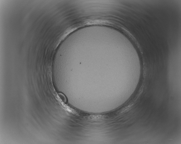 X0000076101041200610202130