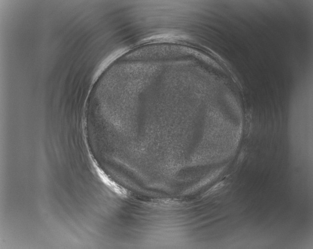 X0000076101042200610202130