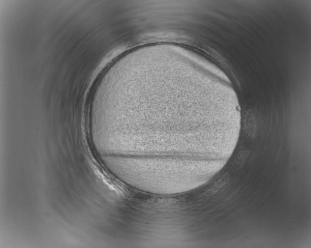 X0000076101043200610202130