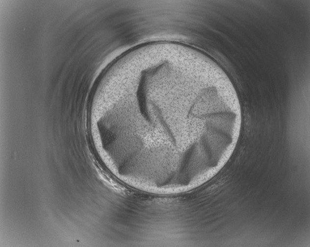 X0000076101044200610202130