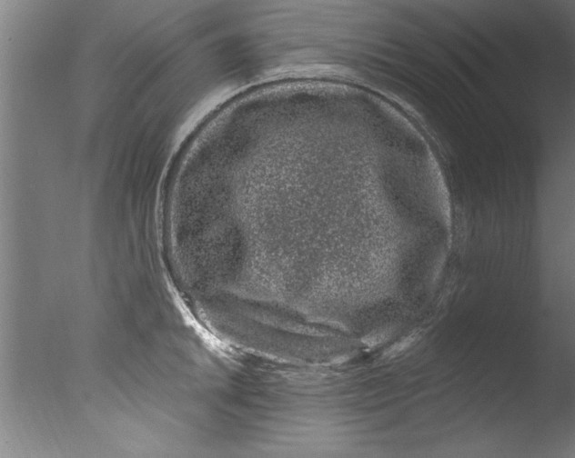 X0000076101046200610202130