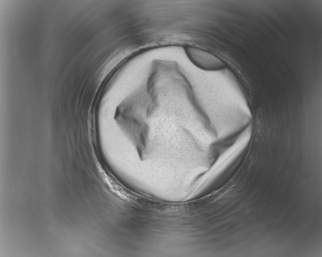 X0000076101047200610202130