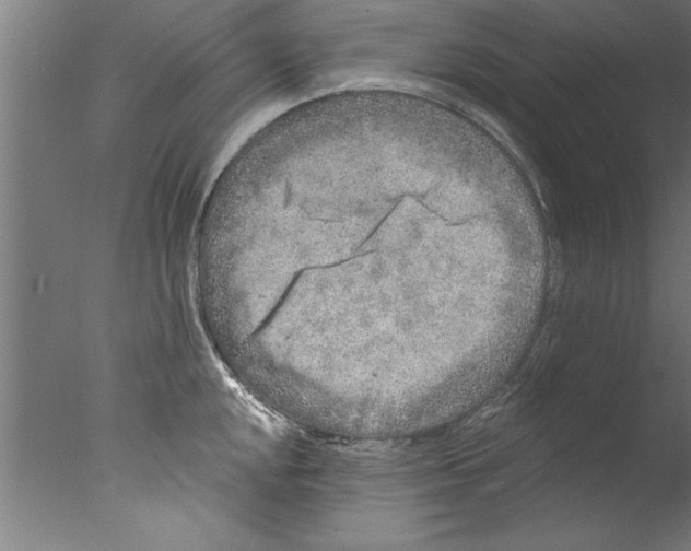 X0000076101048200610202131