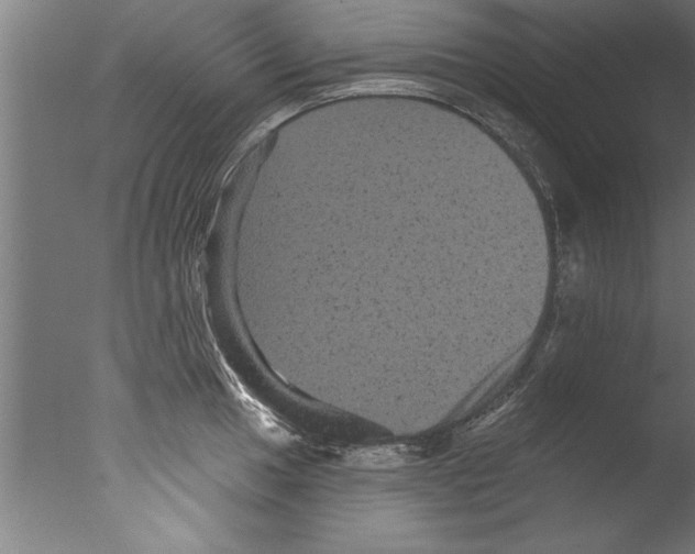 X0000076101049200610202131