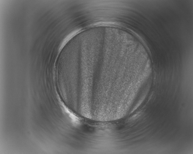 X0000076101050200610202131