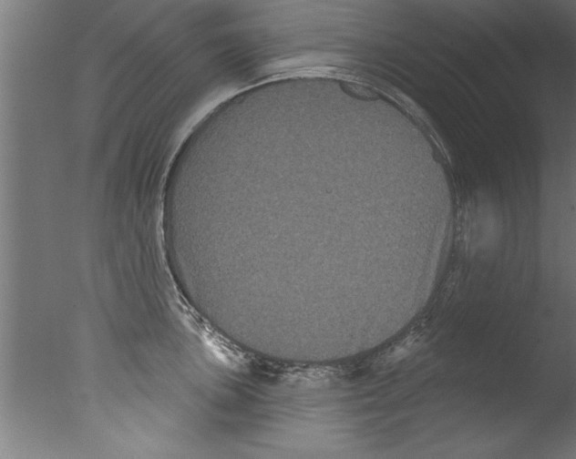 X0000076101051200610202131