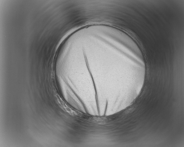 X0000076101052200610202131