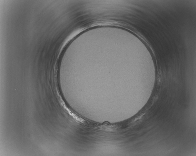 X0000076101053200610202131