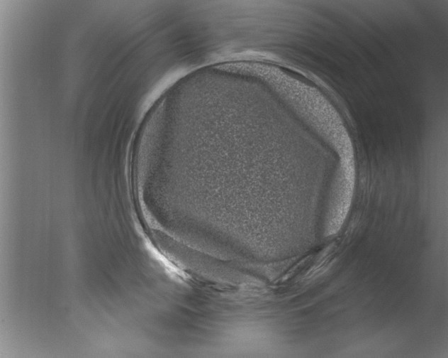 X0000076101054200610202131