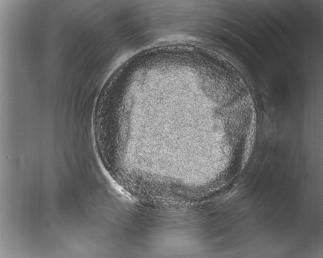 X0000076101055200610202131