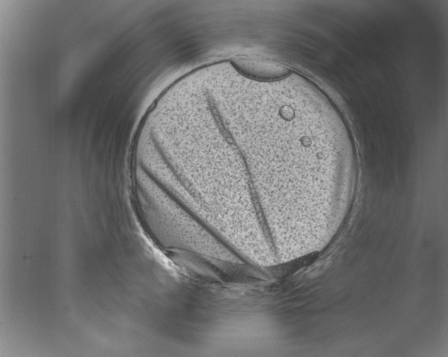 X0000076101056200610202131