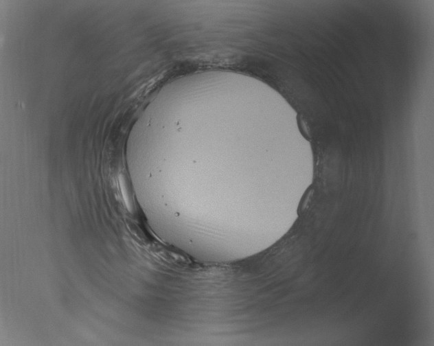 X0000076101058200610202130