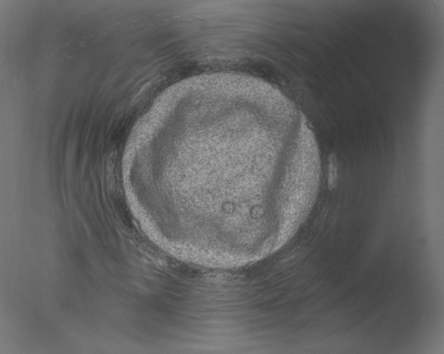 X0000076101059200610202130