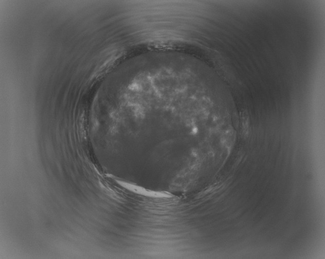 X0000076101060200610202130