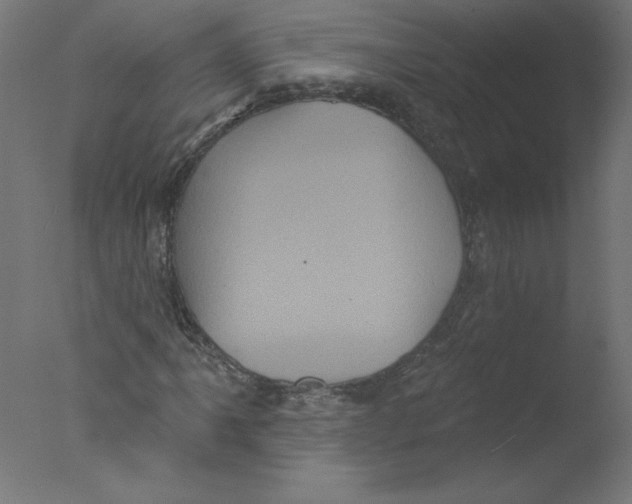 X0000076101061200610202130