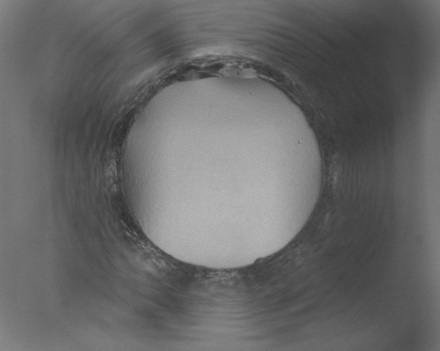 X0000076101062200610202130