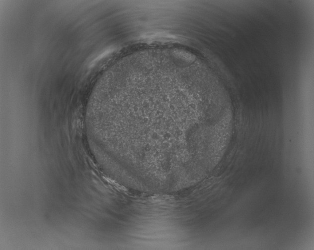 X0000076101063200610202130