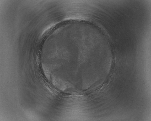 X0000076101064200610202130