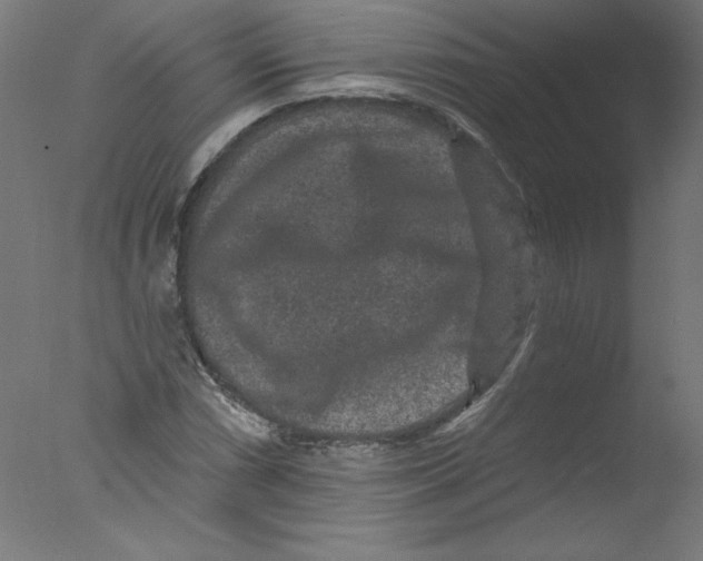 X0000076101066200610202130