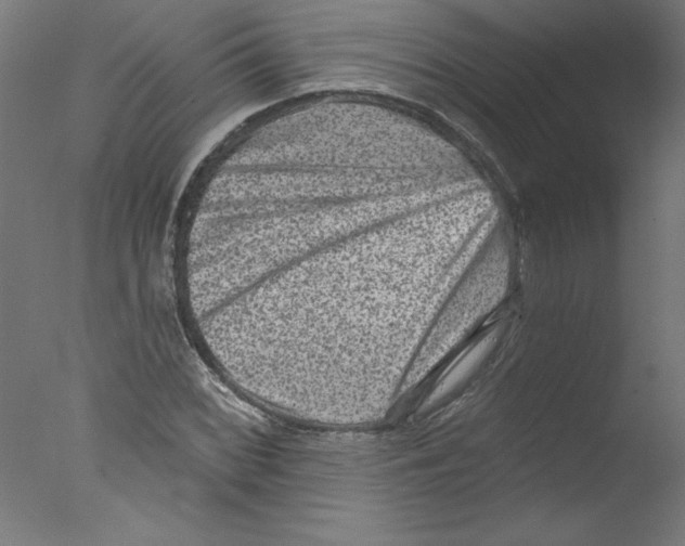 X0000076101068200610202130