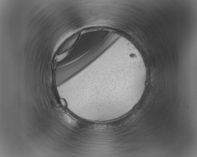 X0000076101069200610202130