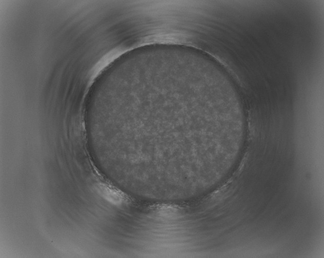 X0000076101070200610202130