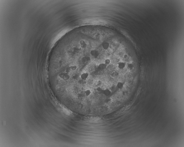 X0000076101071200610202130