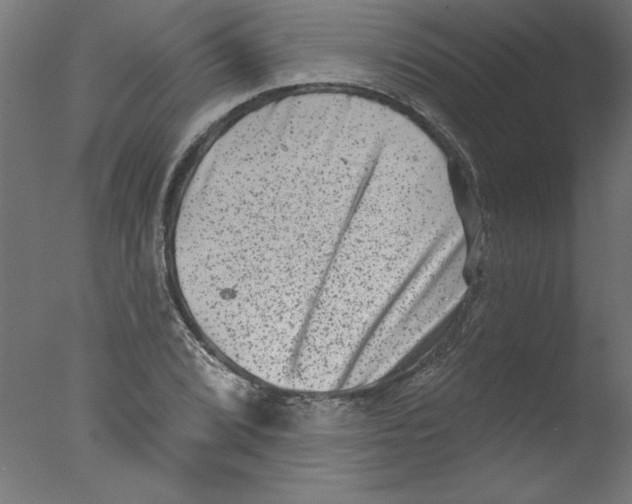 X0000076101072200610202130