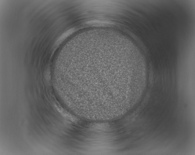 X0000076101074200610202130