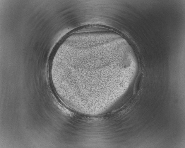 X0000076101076200610202130