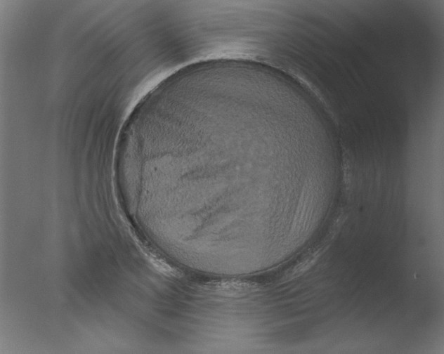 X0000076101077200610202129