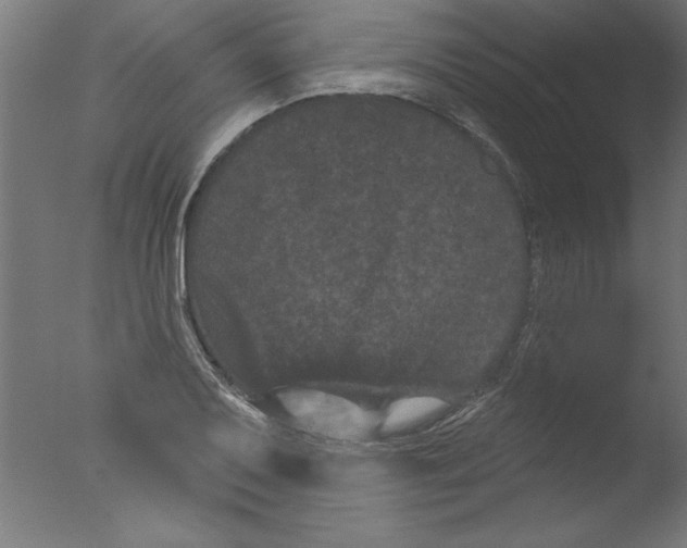 X0000076101079200610202129