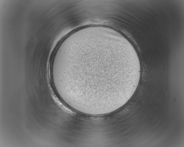 X0000076101080200610202129