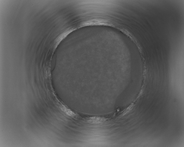 X0000076101081200610202129