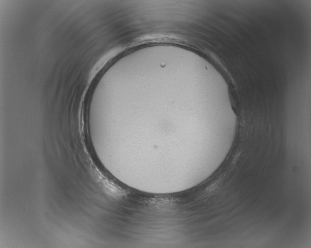 X0000076101082200610202129