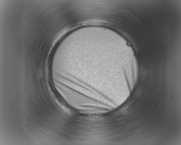 X0000076101083200610202129