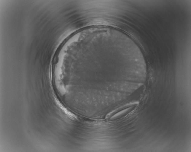 X0000076101084200610202129